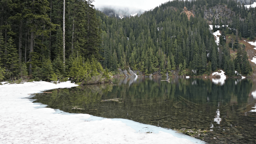 annette lake side seattle washington