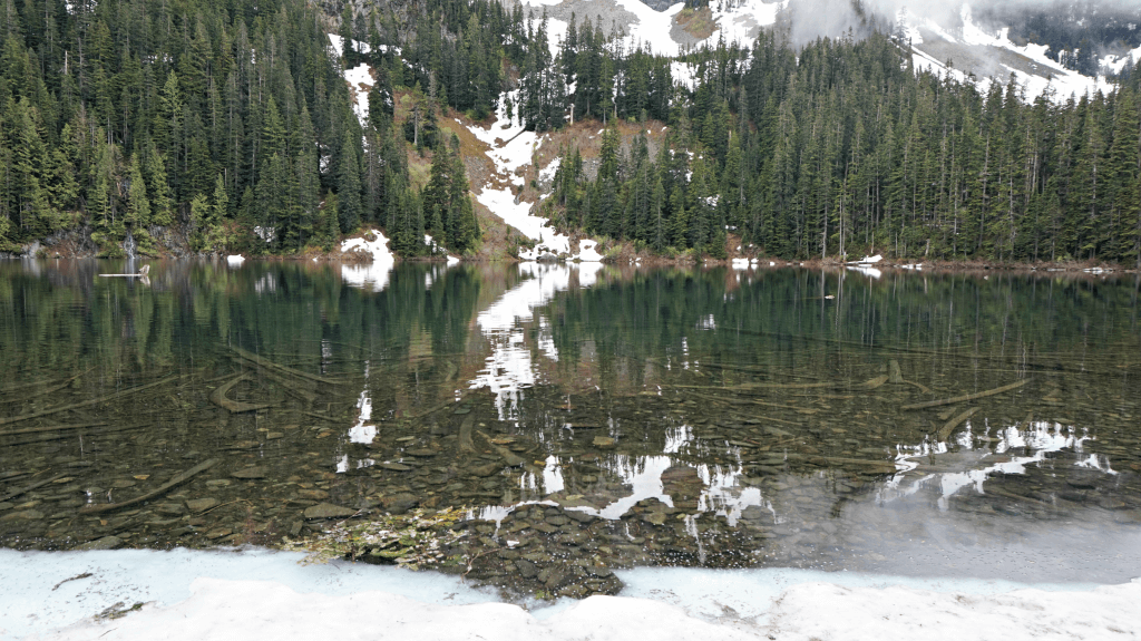 annette lake seattle washington