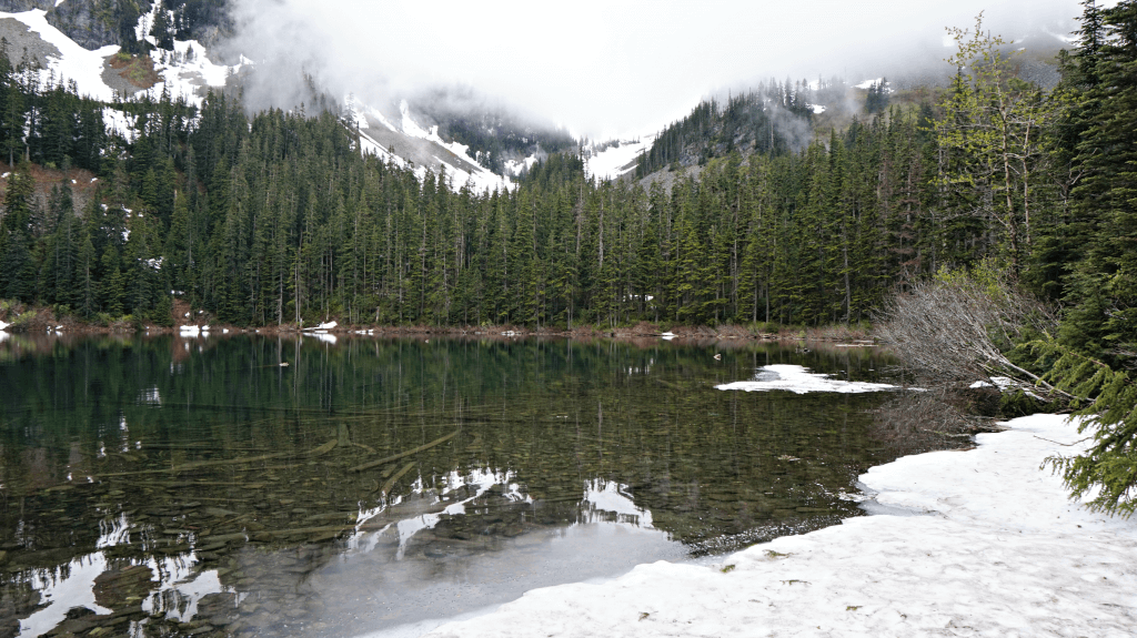 annette lake